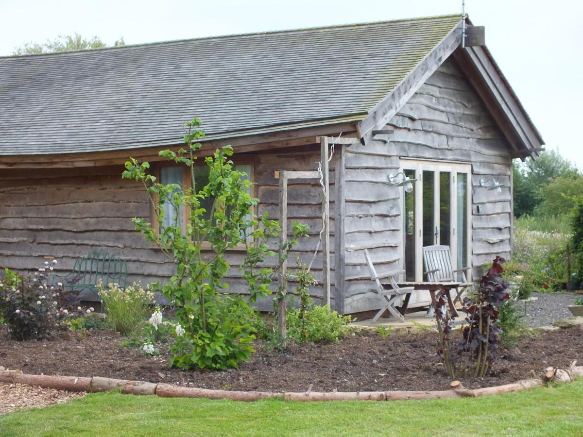 Three Oaks Nursery Чичестер Экстерьер фото